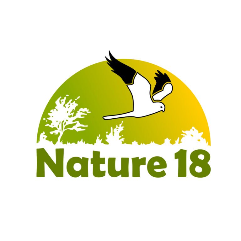 Nature 18