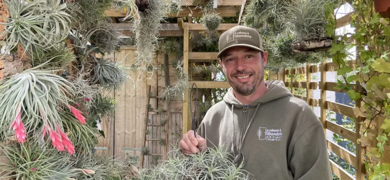 La Cabane à Tillandsia