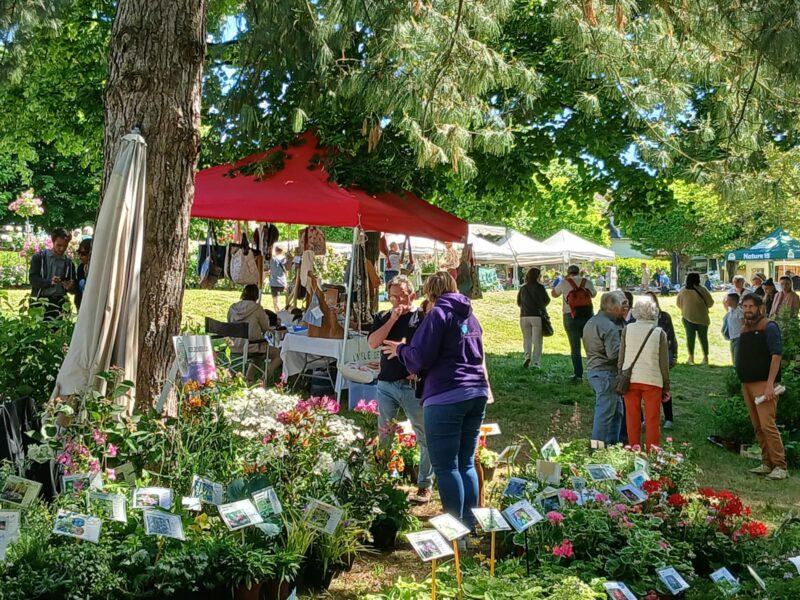 événement en plein air dans un parc, stands colorés et visiteurs.