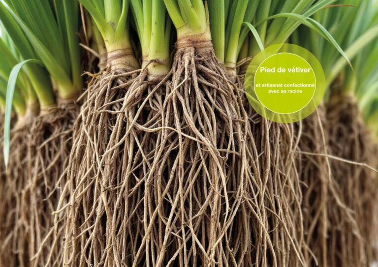 Arome de Maison Vétiver