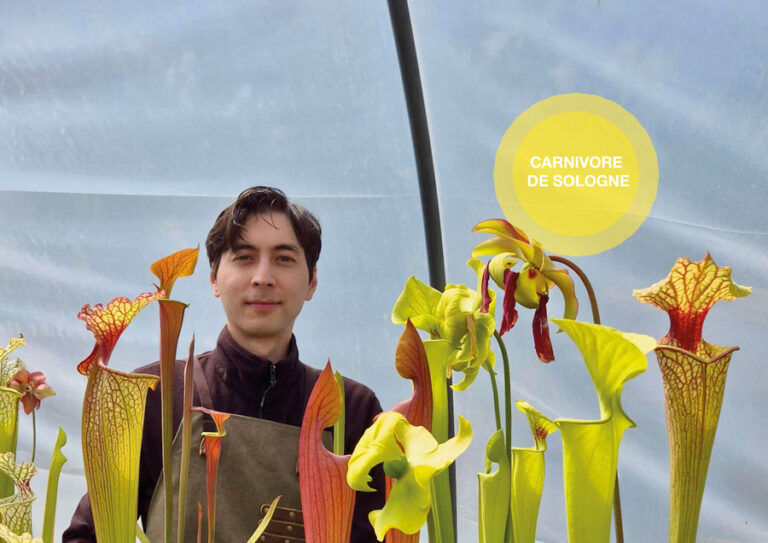 Carnivore de Sologne