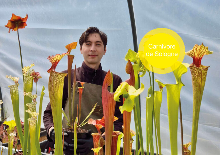 Carnivore de Sologne