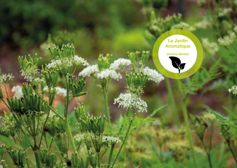 Le Jardin Aromatique