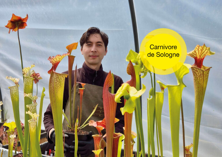 Carnivore de Sologne