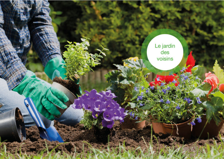 Le jardin des voisins
