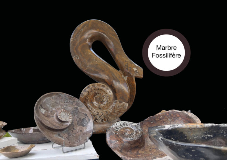 Marbre Fossilifère