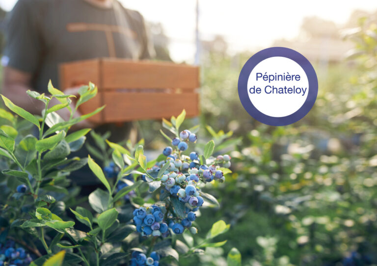 Pépinière de Chateloy