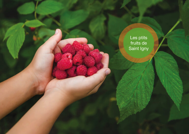 Les p&rsquo;tits Fruits de Saint Igny